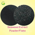 Qfg Seaweed Fertilizer Foliar Fertilizer